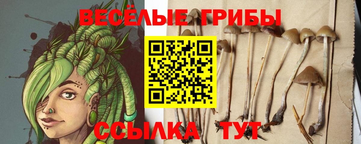 Галлюциногенные грибы GOLDEN TEACHER Мелеуз