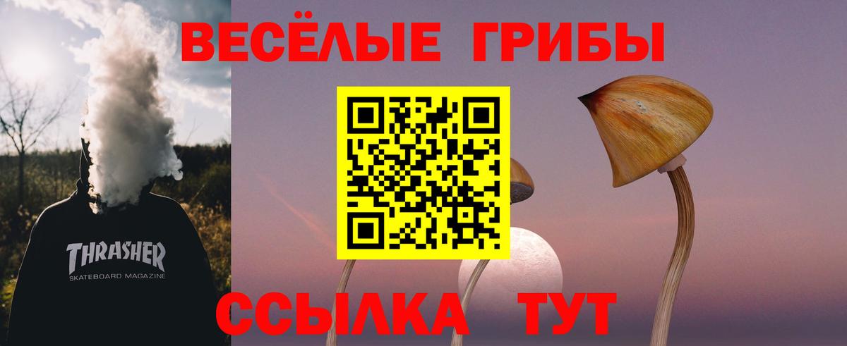 Мелеуз  Псилоцибиновые грибы MAGIC MUSHROOMS  Вход с VPN 
